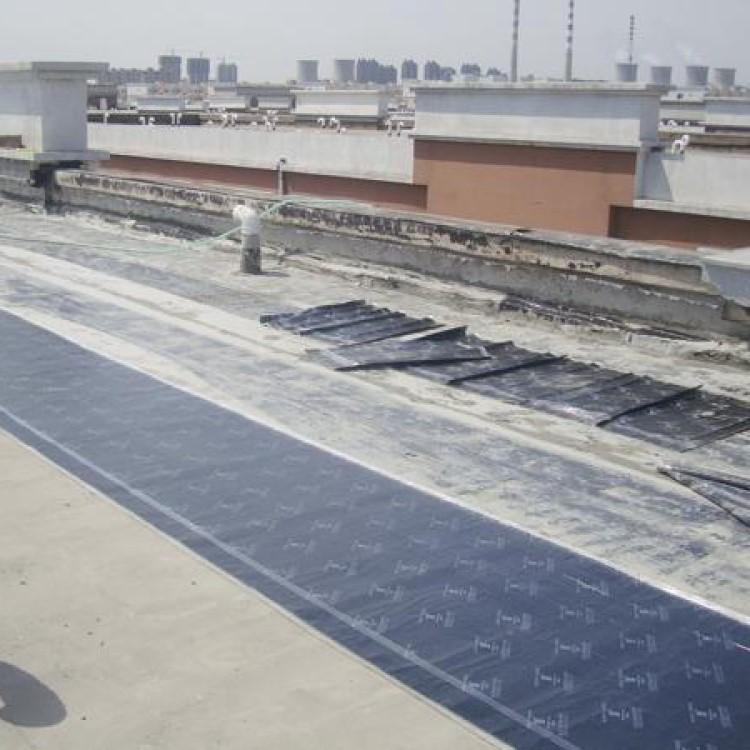 防水工程 沈阳防水公司 外墙屋顶防水工程