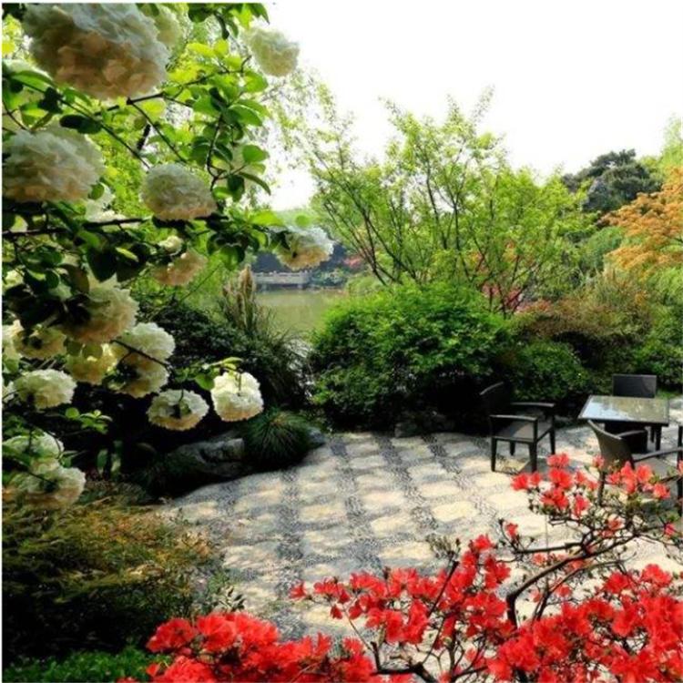 庭院绿化施工 厂区工业园区绿化养护 园林景观绿化草坪