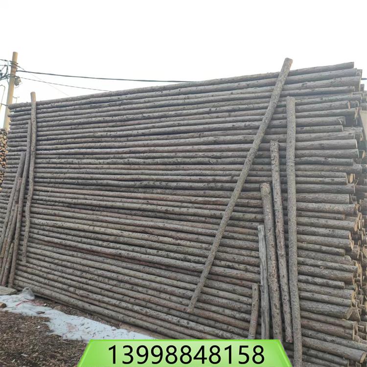 6米植树杆 树木支撑架 盆栽撑杆护林防倒 园林工程苗木支架