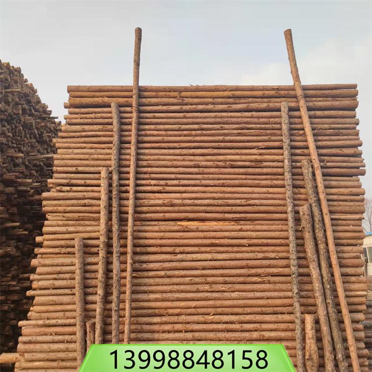 3米带皮植树杆 绿化树木支撑杆批发 树木支撑植树杆