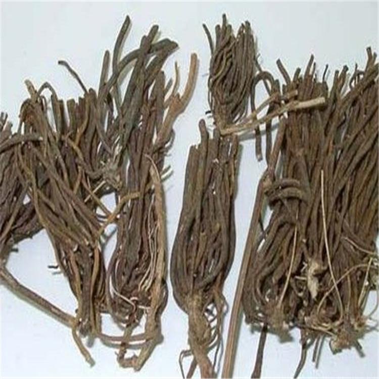 威灵仙 威灵仙批发  威灵仙厂家