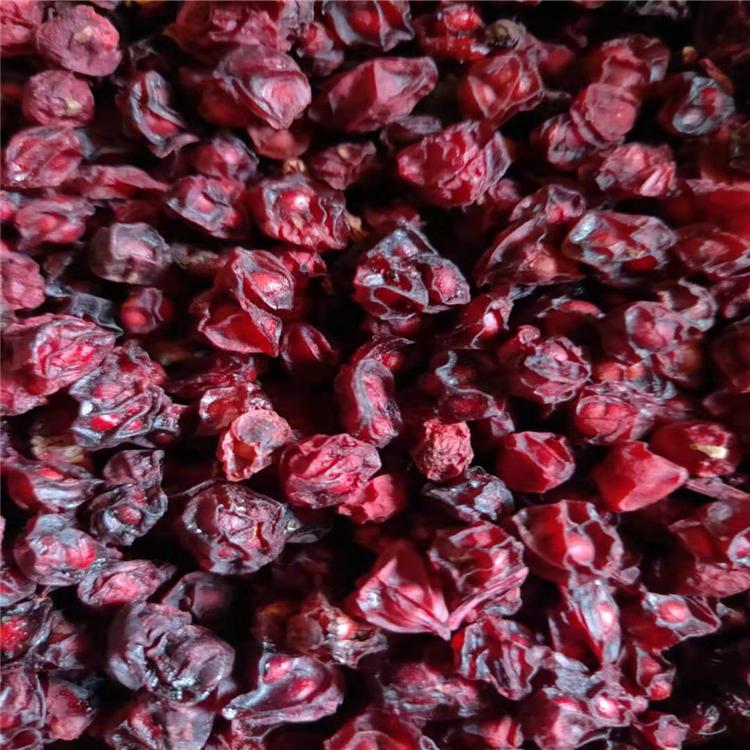 五味子种子  五味子果实 抚顺五味子 