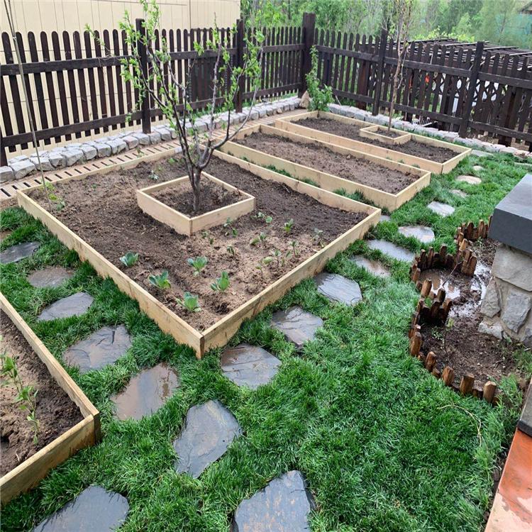 大连高端草坪别墅草坪别墅草坪养护修剪浇水一条龙服务