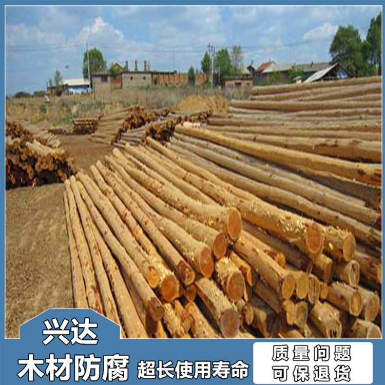 防腐电杆 沈阳防腐电杆厂家批发