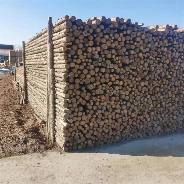 6米电线防护杆 沈阳 松木杆 防腐木 保护木杆