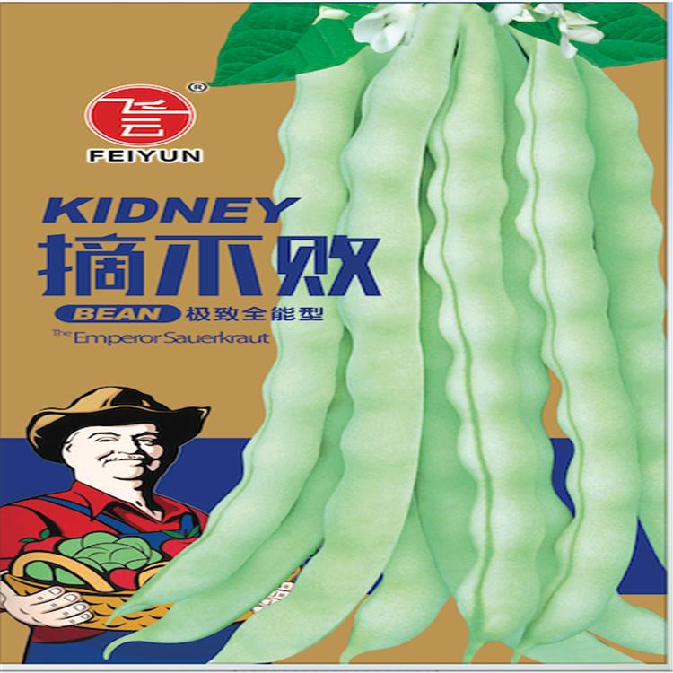 摘不败芸豆种子架豆种子芸豆苗高产芸豆种子批发 100g 诚招各地代理商