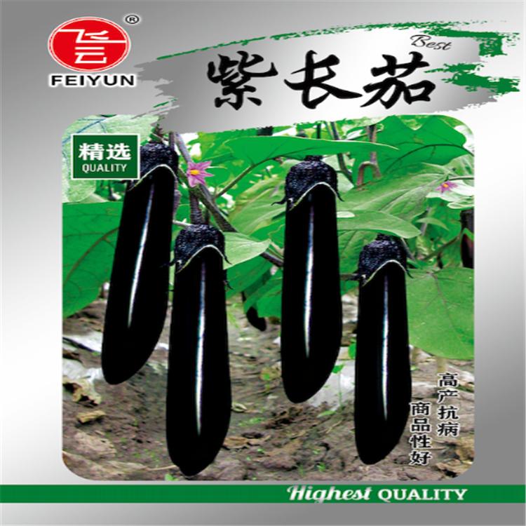 紫长茄种子 茄子种子 蔬菜种子批发 诚招各地代理商